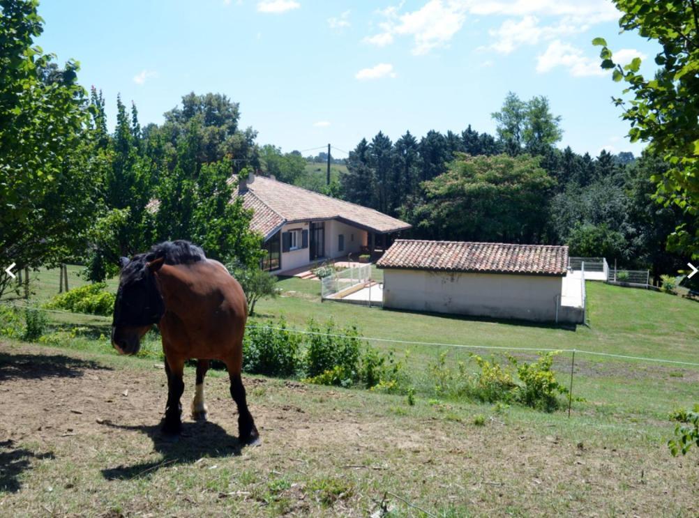 Love Room- Spa- Escale Amoureuse Puygaillard-de-Quercy Ngoại thất bức ảnh